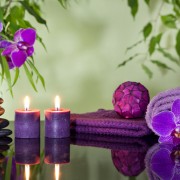 Dienos SPA