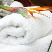 Gydomasis SPA