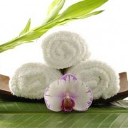 Dienos SPA